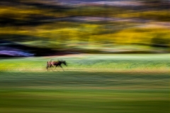 Uvirkelige-landskap.-c-Foto-Finn-Krogvig._-14
