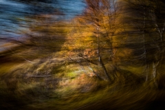 Uvirkelige-landskap.-c-Foto-Finn-Krogvig._-18