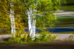 Uvirkelige-landskap.-c-Foto-Finn-Krogvig._-21