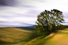 Uvirkelige-landskap.-c-Foto-Finn-Krogvig._-22