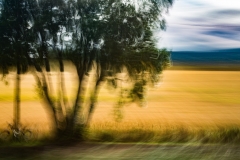 Uvirkelige-landskap.-c-Foto-Finn-Krogvig._-23