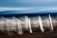Uvirkelige-landskap.-c-Foto-Finn-Krogvig._-25