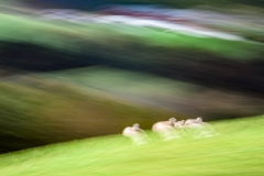 Uvirkelige-landskap.-c-Foto-Finn-Krogvig._-27