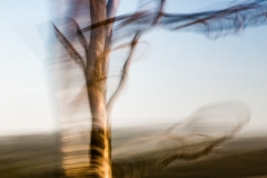 Uvirkelige-landskap.-c-Foto-Finn-Krogvig._-28