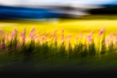 Uvirkelige-landskap.-c-Foto-Finn-Krogvig._-31