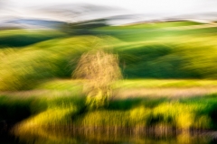 Uvirkelige-landskap.-c-Foto-Finn-Krogvig._-6